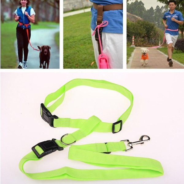 dog harness hands leashes for dogs walking chain run pets accessories walk jogging with leash collars &
dog harness hands leashes for dogs walking chain run pets accessories walk jogging with leash collars &