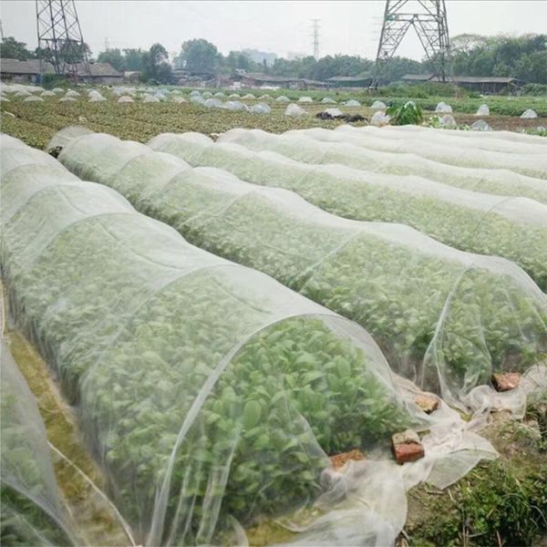 other garden supplies vegetable insect net cover plant flower care protection network bird pest prevention control mesh 6/10m long
other garden supplies vegetable insect net cover plant flower care protection network bird pest prevention control mesh 6/10m long