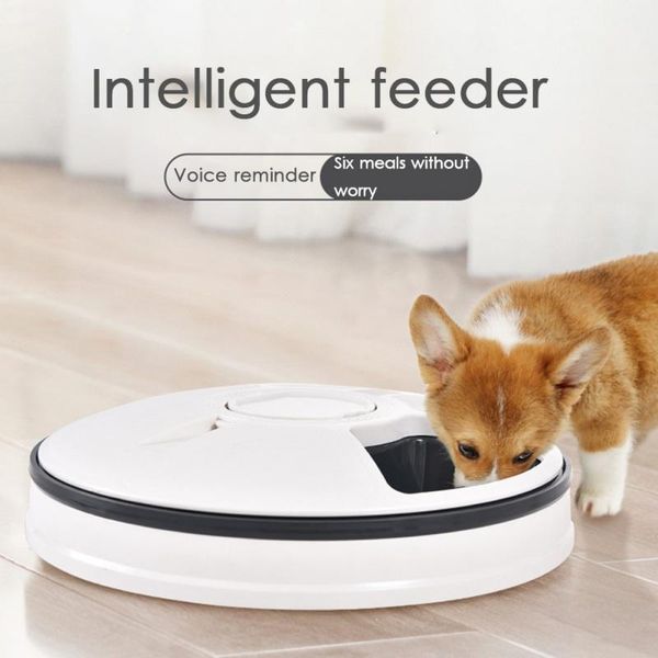 cat bowls & feeders pets dog intelligent timer voice broadcast automatic feeder kitten dispenser removable pet feeding supplies
cat bowls & feeders pets dog intelligent timer voice broadcast automatic feeder kitten dispenser removable pet feeding supplies