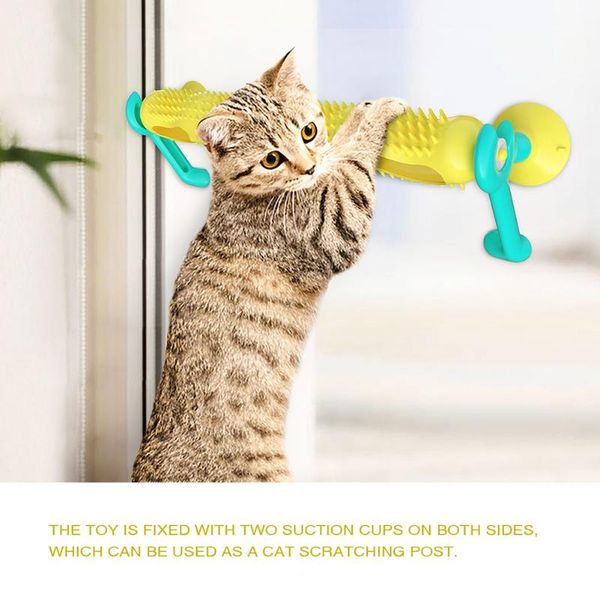 cat toys interacting track ball fun tunnel entertainment supplies for pet kitten din889
cat toys interacting track ball fun tunnel entertainment supplies for pet kitten din889