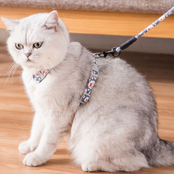 cat collars & leads adjustable harness and leash set for walking kittens sphynx puppy collar pet harnesses escape proof gatos accesorios
cat collars & leads adjustable harness and leash set for walking kittens sphynx puppy collar pet harnesses escape proof gatos accesorios