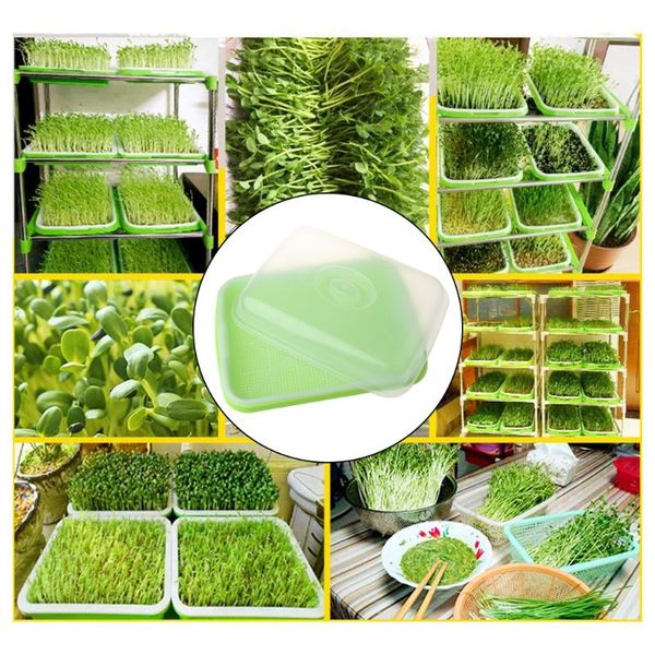 planters & pots 2021 seed sprouter tray bpa pp soil-large capacity healthy wheatgrass grower with cover seedling sprout plate
planters & pots 2021 seed sprouter tray bpa pp soil-large capacity healthy wheatgrass grower with cover seedling sprout plate