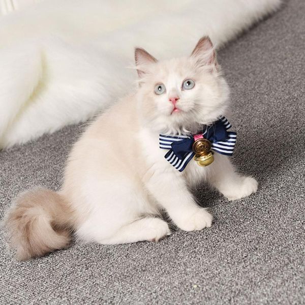 cat collars & leads pet cute bow bell collar british wind golden retriever dog small tie
cat collars & leads pet cute bow bell collar british wind golden retriever dog small tie