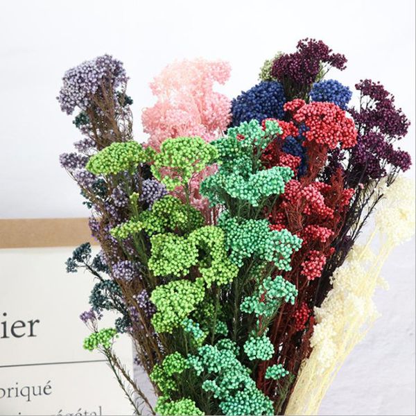 50g eternal dry rice flower millet flowers heads diy home wedding party decor natural centerpieces decoration
50g eternal dry rice flower millet flowers heads diy home wedding party decor natural centerpieces decoration