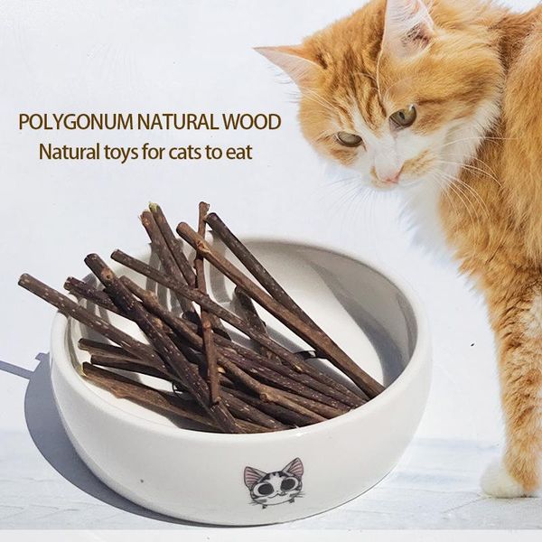 cat toys 15pcs natural catnip pet molar toothpaste stick matatabi actinidia fruit silvervine sticks cleaning teeth
cat toys 15pcs natural catnip pet molar toothpaste stick matatabi actinidia fruit silvervine sticks cleaning teeth