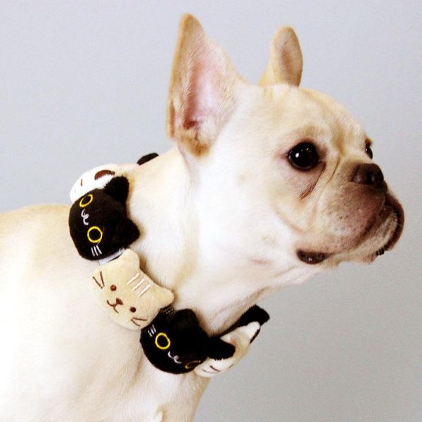 cat collars & leads collar
cat collars & leads collar