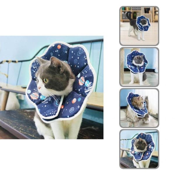 cat collars & leads versatile breathable anti-licking skin-friendly pet collar kitten lightweight protect skin
cat collars & leads versatile breathable anti-licking skin-friendly pet collar kitten lightweight protect skin