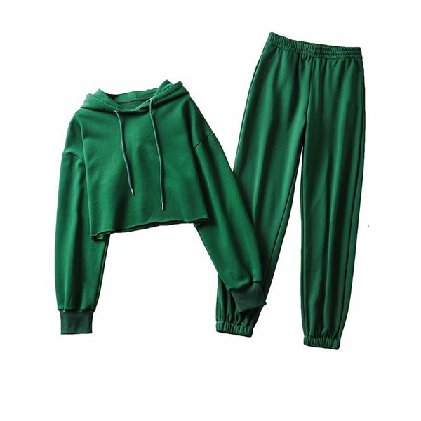 women's two piece pants spring tracksuit female pullover hooded drawstring short sweatshirt + high waist 2 sets womens outfits g8, White
women's two piece pants spring tracksuit female pullover hooded drawstring short sweatshirt + high waist 2 sets womens outfits g8, White