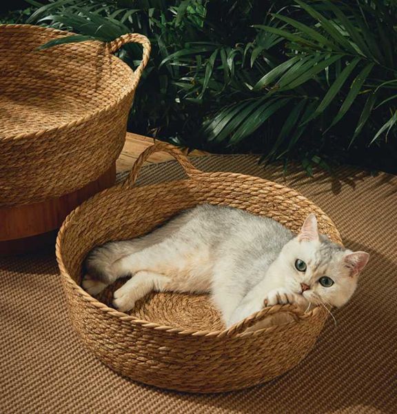 cat beds & furniture pet bed scratcher kitten sleeping mat pad straw woven basket four seasons universal cushion for summer accessories
cat beds & furniture pet bed scratcher kitten sleeping mat pad straw woven basket four seasons universal cushion for summer accessories
