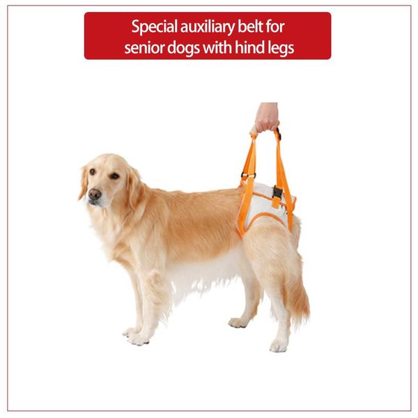 petio elderly dog care pet traction rope leg injury disabled walking aid belt harness apparel
petio elderly dog care pet traction rope leg injury disabled walking aid belt harness apparel