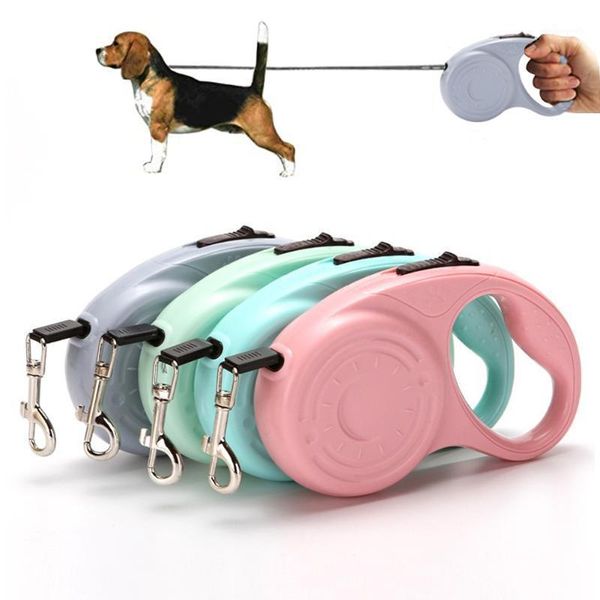 dog collars & leashes 3m/5m automatic retractable leash adjustable durable nylon pet harness for small medium walking training1
dog collars & leashes 3m/5m automatic retractable leash adjustable durable nylon pet harness for small medium walking training1