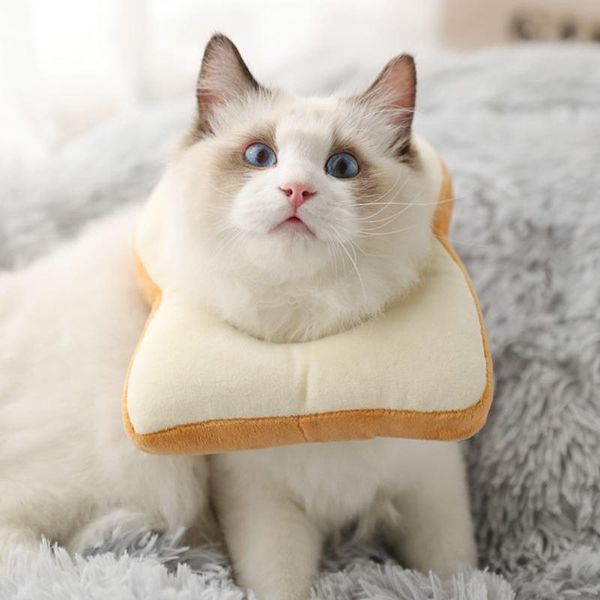 cat toys pet collar avocado shaped cute neck set prevention of catching elizabethan circle after operation
cat toys pet collar avocado shaped cute neck set prevention of catching elizabethan circle after operation