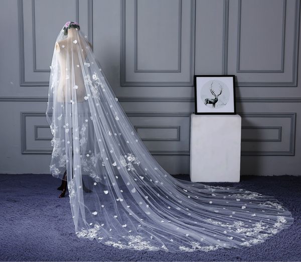 bridal veils wedding gown long tail flower applique church veil trade cross-border 400*300cm bride dress women hair accessories, Black
bridal veils wedding gown long tail flower applique church veil trade cross-border 400*300cm bride dress women hair accessories, Black