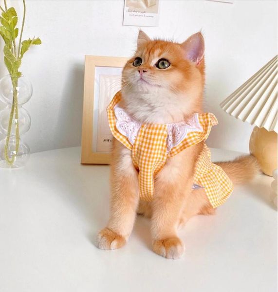 cat costumes breathable t shirt for cats pet cute clothing fashion costume dog cooling clothes
cat costumes breathable t shirt for cats pet cute clothing fashion costume dog cooling clothes