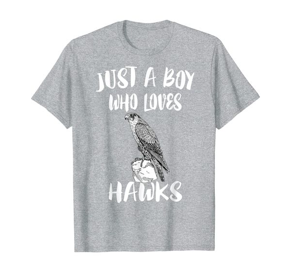 Just A Boy Who Loves Hawks Bird Birding Gift T-Shirt, Mainly pictures
