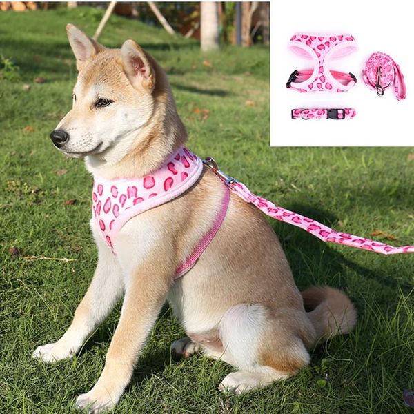 dog collars & leashes 3 pcs/ set breathable harness nylon reflective pet puppy and leash soft cat hanresses chihuahua vest walking lead
dog collars & leashes 3 pcs/ set breathable harness nylon reflective pet puppy and leash soft cat hanresses chihuahua vest walking lead