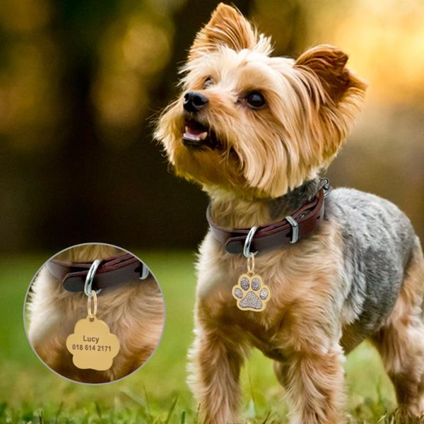 dog tag,id card accessories engraved pet id tag personalized cat puppy collar suministros para perros
dog tag,id card accessories engraved pet id tag personalized cat puppy collar suministros para perros
