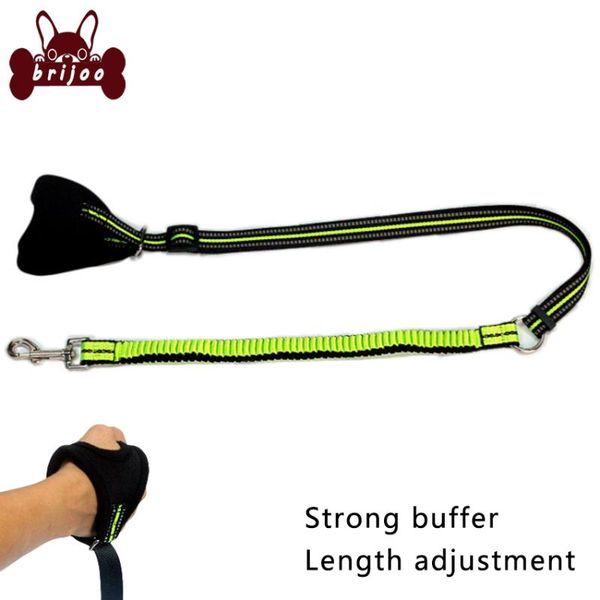 dog collars & leashes brijoo 1.55m leash for small medium dogs reflective nylon stretch pet 3 color puppy kitten rope arnes perro
dog collars & leashes brijoo 1.55m leash for small medium dogs reflective nylon stretch pet 3 color puppy kitten rope arnes perro