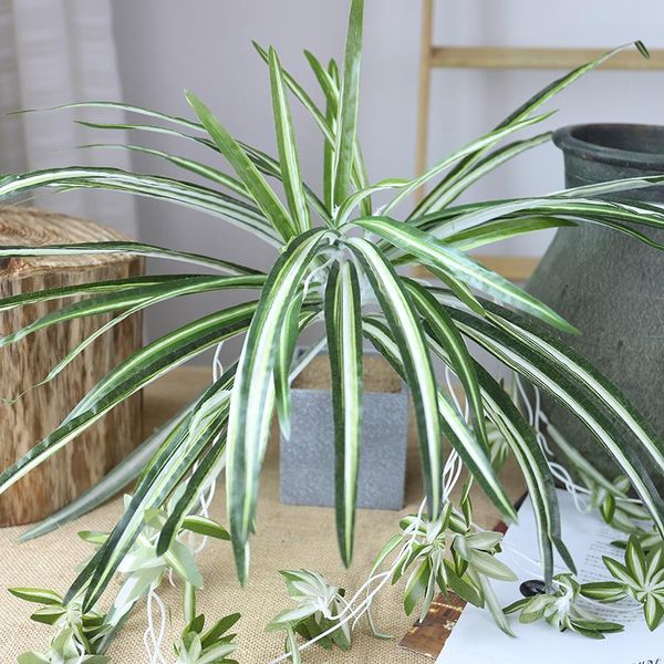 decorative flowers & wreaths simulation of green plants potted chrysanthemum chlorophytum plastic artificial living room display decoration
decorative flowers & wreaths simulation of green plants potted chrysanthemum chlorophytum plastic artificial living room display decoration