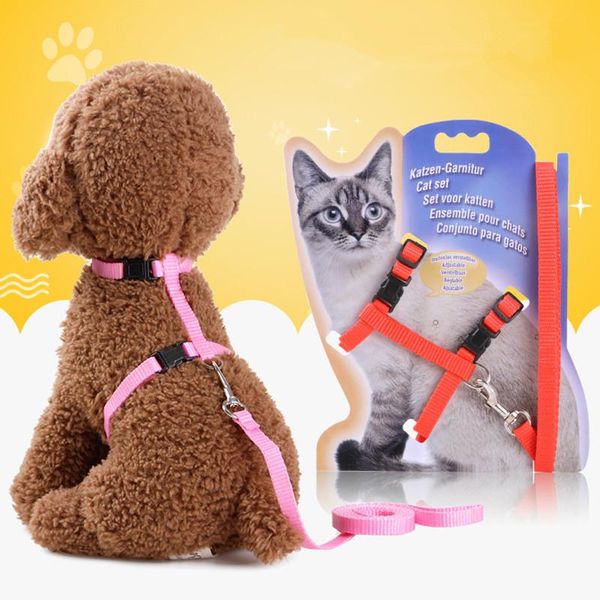 cat dog collar harness leash adjustable pet training walking kitten halter cats puppy products for belt collars & leads
cat dog collar harness leash adjustable pet training walking kitten halter cats puppy products for belt collars & leads