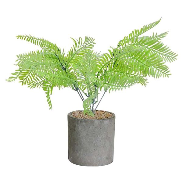 decorative flowers & wreaths party indoor arrangement artificial ornament office simple home decor asparagus fern nordic style fake plant po
decorative flowers & wreaths party indoor arrangement artificial ornament office simple home decor asparagus fern nordic style fake plant po