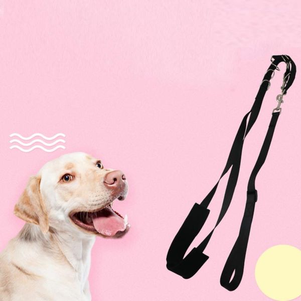 adjustable dog grooming belly strap leash pet bathing restraint band with d-rings for small medium dogs cat puppy hair cutting collars & lea
adjustable dog grooming belly strap leash pet bathing restraint band with d-rings for small medium dogs cat puppy hair cutting collars & lea
