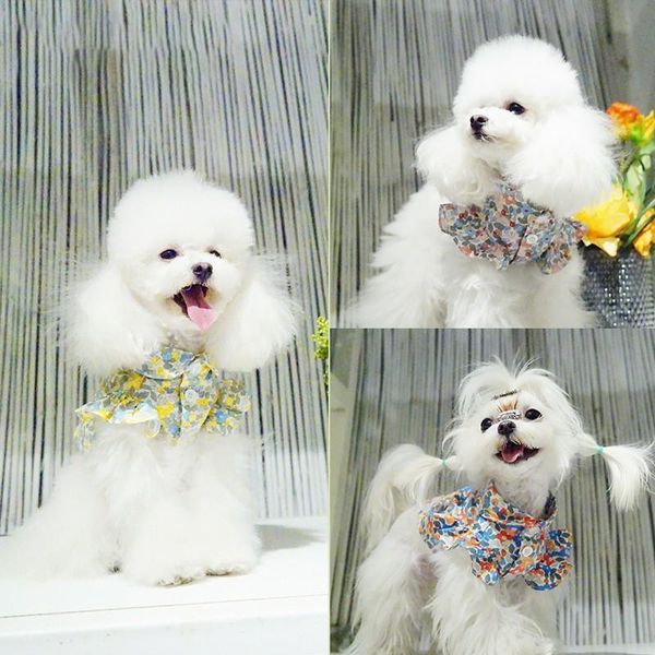 dog apparel floral clothes cotton shirt ruffle dogs for small girl brand chihuahua pomeranian puppy skirt outfit perro
dog apparel floral clothes cotton shirt ruffle dogs for small girl brand chihuahua pomeranian puppy skirt outfit perro