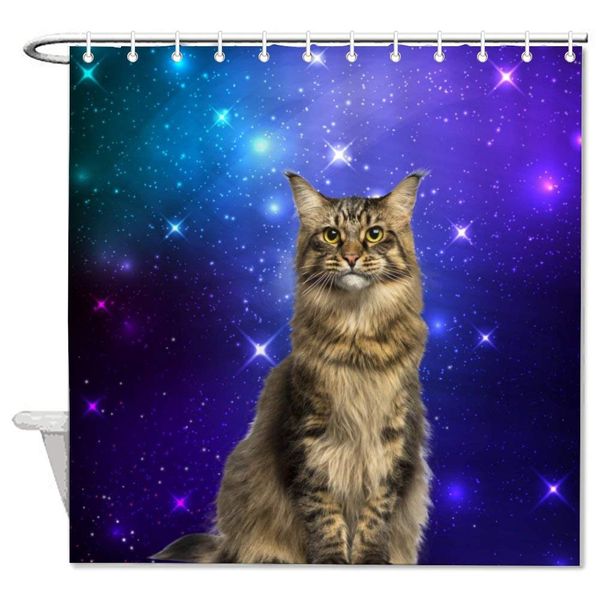 carnivore cat felidae kitten maine coon norwegian forest cat sky whiskers wild cat bath decorative shower curtain bathroom
carnivore cat felidae kitten maine coon norwegian forest cat sky whiskers wild cat bath decorative shower curtain bathroom