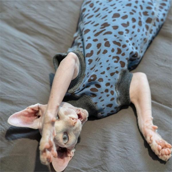 cotton knitted vest for sphinx hairless cat sleeveless soft comfortable devin shorthair seamless design pet costume 02 costumes
cotton knitted vest for sphinx hairless cat sleeveless soft comfortable devin shorthair seamless design pet costume 02 costumes