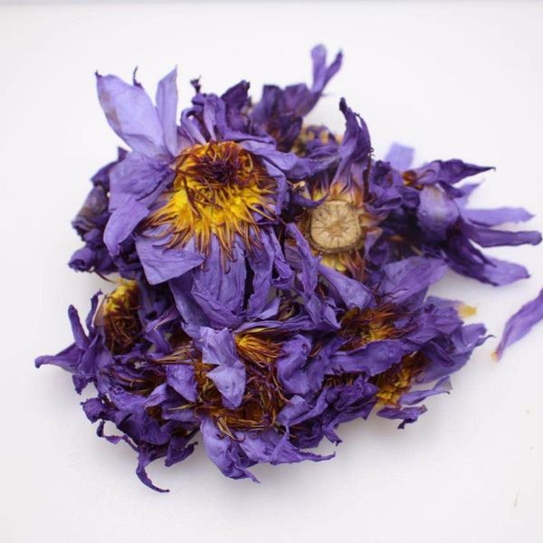 decorative flowers & wreaths dried natural blue lotus flower egyptian nymphaeaceae caerulea
decorative flowers & wreaths dried natural blue lotus flower egyptian nymphaeaceae caerulea