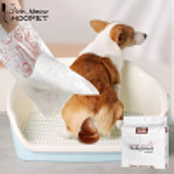 dog travel & outdoors hoopet pet poop bag eco friendly bags thick durable double picker large outdoor cleaner
dog travel & outdoors hoopet pet poop bag eco friendly bags thick durable double picker large outdoor cleaner