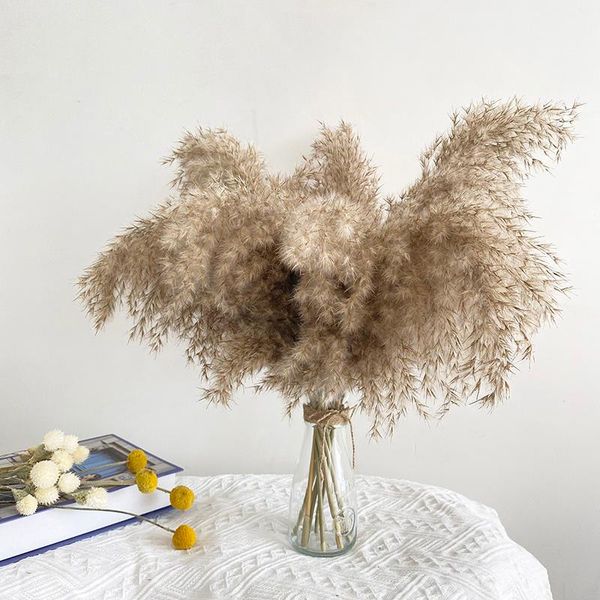 decorative flowers & wreaths dried pampas grass decor fluffy wedding arrangement natural dry for home party christmas decorations accessorie
decorative flowers & wreaths dried pampas grass decor fluffy wedding arrangement natural dry for home party christmas decorations accessorie