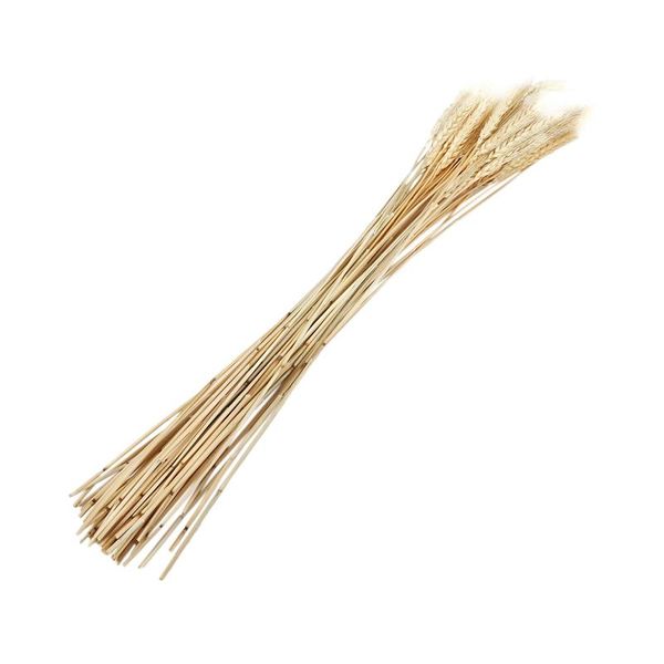 decorative flowers & wreaths 50pcs/lot real wheat ear flower natural dried for wedding party decoration diy craft scrapbook home decor bouqu
decorative flowers & wreaths 50pcs/lot real wheat ear flower natural dried for wedding party decoration diy craft scrapbook home decor bouqu