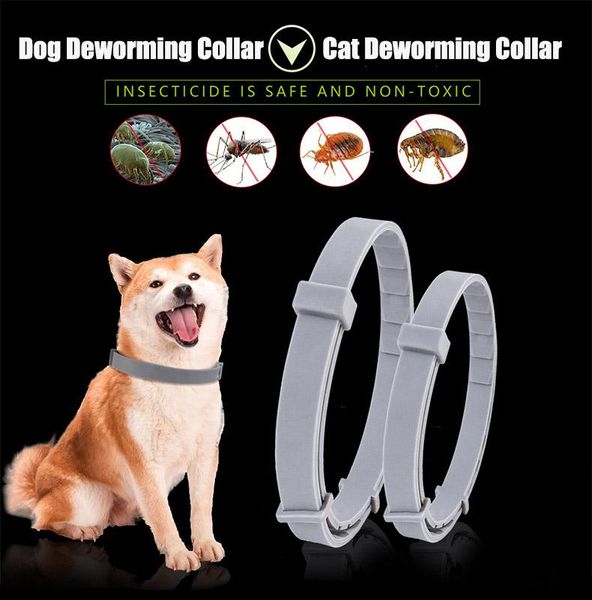 dog collars & leashes cat flea collar - control and tick treatment dewormer worm for tapeworms,prevents reinfection
dog collars & leashes cat flea collar - control and tick treatment dewormer worm for tapeworms,prevents reinfection