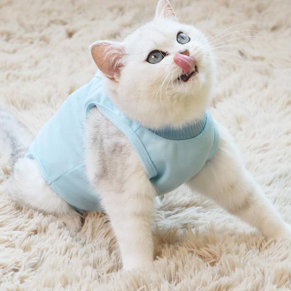 pet sterilization clothes posrative care thin rehabilitation cat anti-bite anti-licking female gown costumes
pet sterilization clothes posrative care thin rehabilitation cat anti-bite anti-licking female gown costumes
