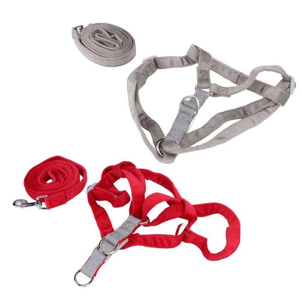 cat collars & leads breathable dog vest adjustable harness safety for small medium large dogs outdoor walking
cat collars & leads breathable dog vest adjustable harness safety for small medium large dogs outdoor walking