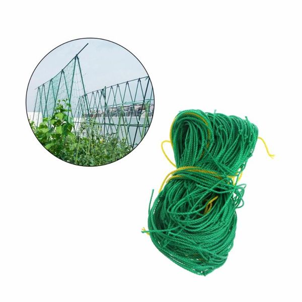 planters & pots garden green nylon trellis netting support climbing bean plant nets grow fence
planters & pots garden green nylon trellis netting support climbing bean plant nets grow fence
