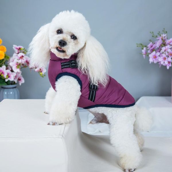 dog apparel pet harness coat winter cotton jacket ski suit puppy outdoor walking adjustable chest strap clothes vest
dog apparel pet harness coat winter cotton jacket ski suit puppy outdoor walking adjustable chest strap clothes vest