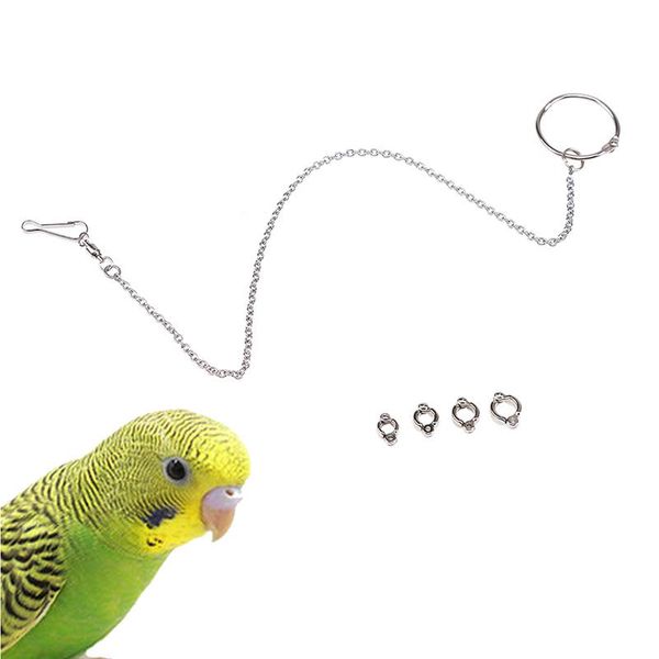 other bird supplies 1pc pet leg chain with ring #5#7#8 parrot ankle foot stainless steel outdoor flying training accessories
other bird supplies 1pc pet leg chain with ring #5#7#8 parrot ankle foot stainless steel outdoor flying training accessories