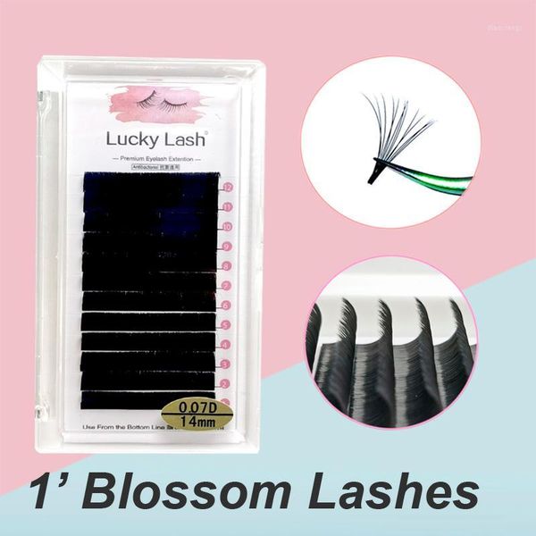 lucky lash 0.05mm auto fans eyelash extensions easy fan bloom fake eyelashes faux mink blossom russian volume fans1
lucky lash 0.05mm auto fans eyelash extensions easy fan bloom fake eyelashes faux mink blossom russian volume fans1