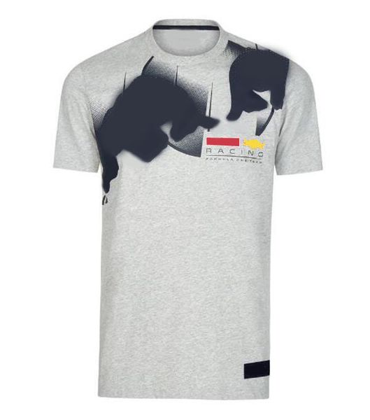 2021-f1 racing suit vitaspan short sleeve t-shirt polyester quick-drying can be customized
2021-f1 racing suit vitaspan short sleeve t-shirt polyester quick-drying can be customized