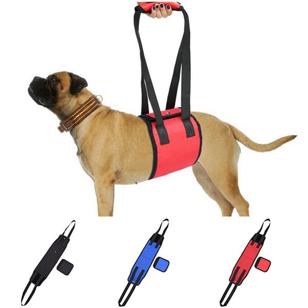 dog collars & leashes qqqpet waist harness lift support sling nylon clasp recovery protecting belt sport running leads
dog collars & leashes qqqpet waist harness lift support sling nylon clasp recovery protecting belt sport running leads