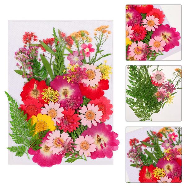 craft tools 42 pcs natural dry flowers diy flower stickers dried pressed decoration for gift decor 
craft tools 42 pcs natural dry flowers diy flower stickers dried pressed decoration for gift decor