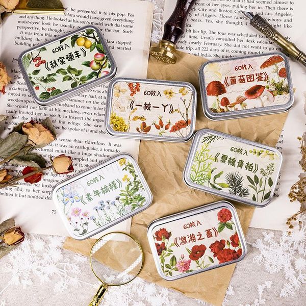 gift wrap 1 set sticker scrapbooking supplies beautiful adhesive decorative for packaging notebooks
gift wrap 1 set sticker scrapbooking supplies beautiful adhesive decorative for packaging notebooks