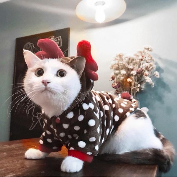 cat costumes coat christmas dress up costume cute reindeer hoodie with red antlers for pet cats dogs winter warm clothing --
cat costumes coat christmas dress up costume cute reindeer hoodie with red antlers for pet cats dogs winter warm clothing --
