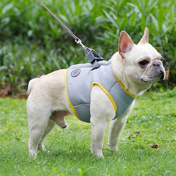 dog apparel summer cooling vest clothes adjustable cooler harness for pet mesh reflective harnesses quick release supplies
dog apparel summer cooling vest clothes adjustable cooler harness for pet mesh reflective harnesses quick release supplies