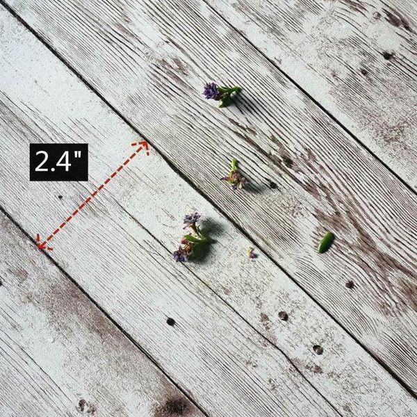 wallpapers self adhesive old wood grain wallpaper waterproof wooden pvc stickers wall door wardrobe papers desk45*200cm furnit d7i1
wallpapers self adhesive old wood grain wallpaper waterproof wooden pvc stickers wall door wardrobe papers desk45*200cm furnit d7i1
