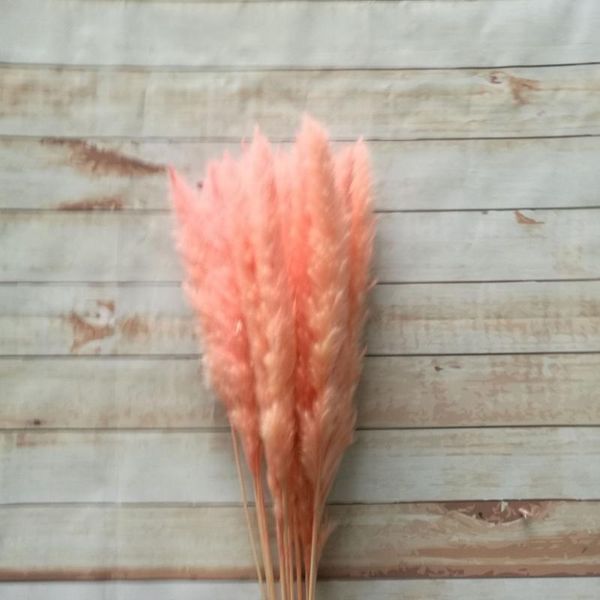decorative flowers & wreaths 30pcs pink natural dried pampas grass phragmites communis reed plant wedding flower bunch home decor diy
decorative flowers & wreaths 30pcs pink natural dried pampas grass phragmites communis reed plant wedding flower bunch home decor diy