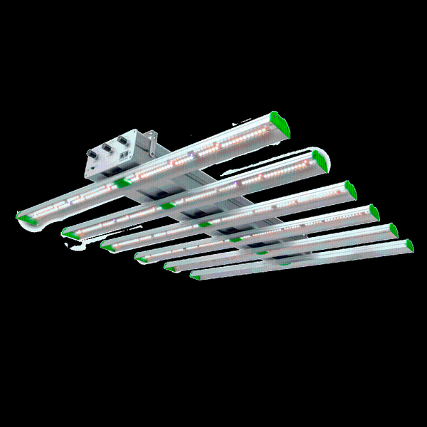 full spectrum dimmable led grow light with veg bloom uv channels for hydroponics tent and commercial lights
full spectrum dimmable led grow light with veg bloom uv channels for hydroponics tent and commercial lights