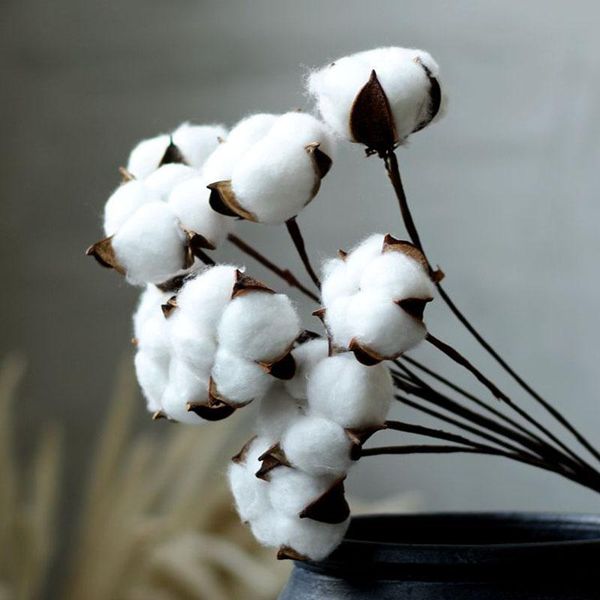 decorative flowers & wreaths naturally dried cotton flower white florist artificial filler floral supplies wedding festival home diy decorat
decorative flowers & wreaths naturally dried cotton flower white florist artificial filler floral supplies wedding festival home diy decorat